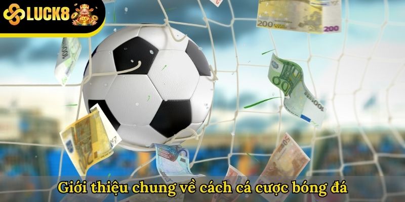 Giới thiệu chung về cách cá cược bóng đá